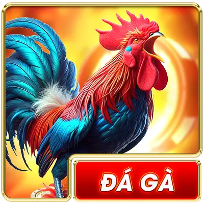 đá gà qs88